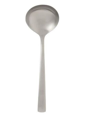 HEMA HEMA Sauslepel Oslo (zilver) aanbieding