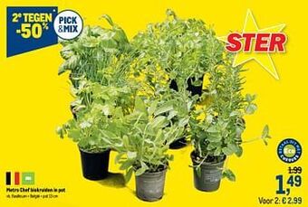 Makro Metro chef biokruiden in pot basilicum aanbieding