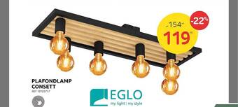 Brico Plafondlamp consett aanbieding