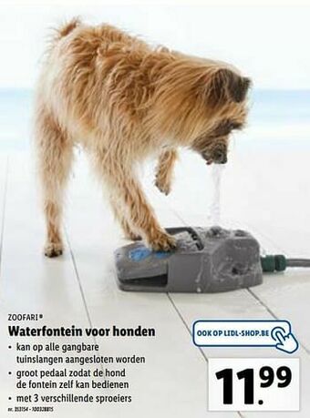 Waterfontein voor honden