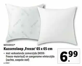 Lidl Kussensloop ‚freeze aanbieding
