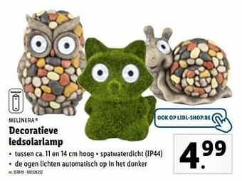 Lidl Decoratieve ledsolarlamp aanbieding