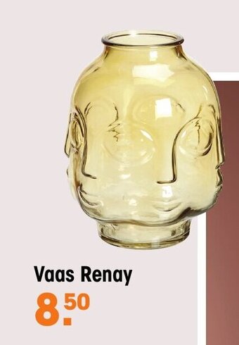 Kwantum Vaas renay aanbieding