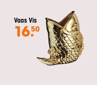 Kwantum Vaas Vis aanbieding