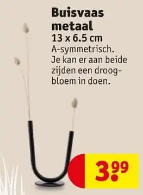 Kruidvat Buisvaas metaal 13 x 6.5 cm aanbieding