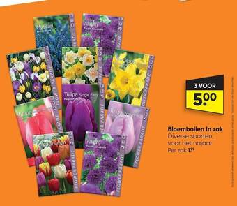 Big Bazar Bloembollen in zak aanbieding