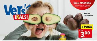 Lidl Avocado aanbieding