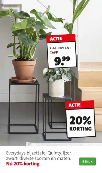 Gatenplant everydays bijzettafel quinty. Ijzer, zwart, diverse soorten en maten