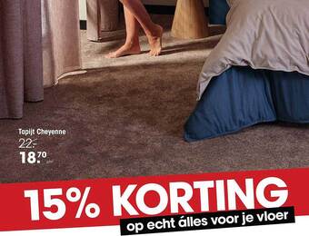 Kwantum Tapijt cheyenne aanbieding