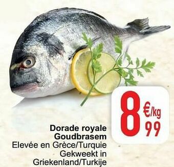 Cora Dorade royale goudbrasem aanbieding