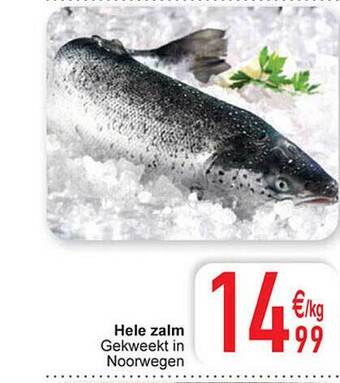 Cora Hele zalm aanbieding