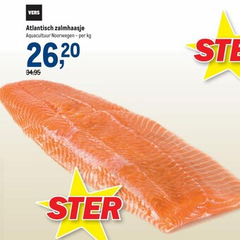 Atlantisch zalmhaasje