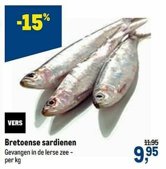 Bretoense sardienen