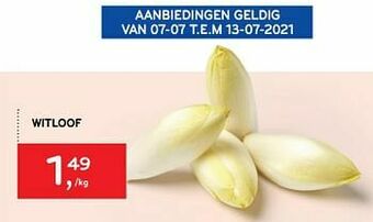 Alvo Witloof aanbieding