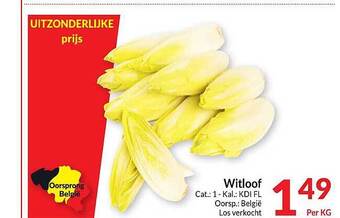 Intermarché Witloof aanbieding