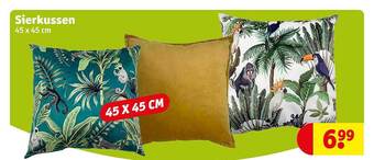 Kruidvat Sierkussen aanbieding
