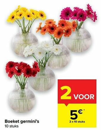 Carrefour Market Boeket germini`s aanbieding