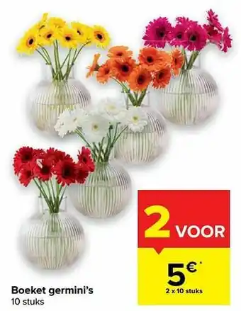 Carrefour Boeket germini`s aanbieding