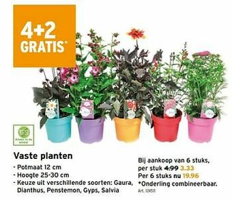 GAMMA Vaste planten aanbieding