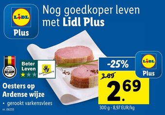 Lidl Oesters op Ardense wijze aanbieding