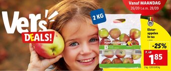 Lidl Elstar appelen in tas aanbieding