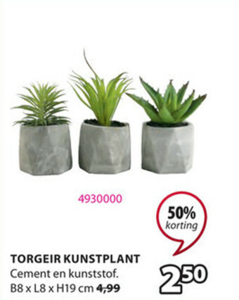Torgeir Kunstplant