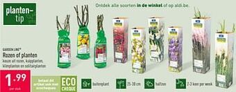 ALDI Rozen of planten aanbieding