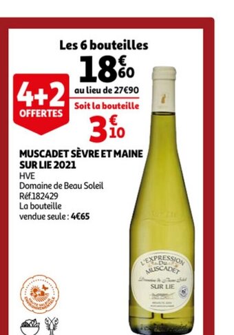 Muscadet sevre et maine sur lie 2021