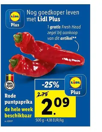 Rode puntpaprika