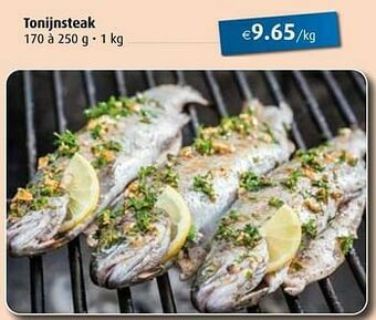 Aronde Tonijnsteak aanbieding