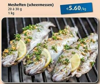 Mesheften