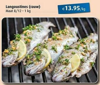 Aronde Langoustines aanbieding