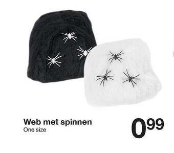 Web met spinnen