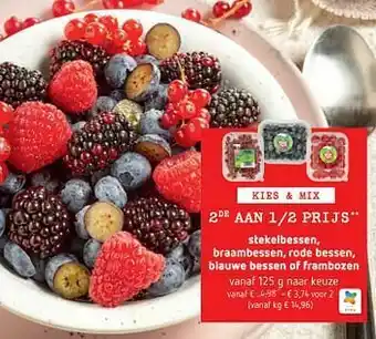 Stekelbessen, braambessen, rode bessen, blauwe bessen of frambozen