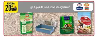 Geldig op de familie van knaagdieren