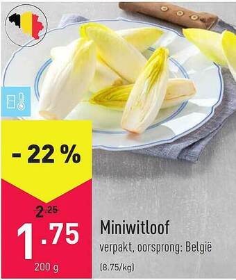 ALDI Miniwitloof aanbieding