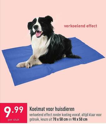 ALDI Koelmat Voor Huisdieren aanbieding