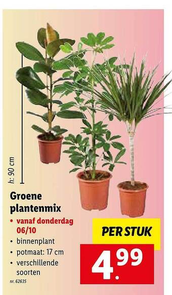 Lidl Groene plantenmix aanbieding