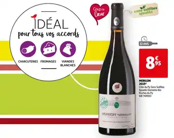 Auchan Morgon 2019 Côte du Py Sans Sulfites Ajoutés Domaine des Roches du Py aanbieding