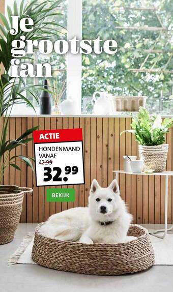 Intratuin Hondenmand aanbieding