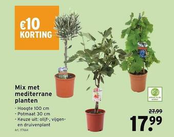 GAMMA Mix Met Mediterrane Planten aanbieding