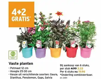GAMMA Vaste Planten 4+2 Gatis aanbieding