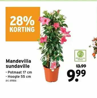 GAMMA Mandevilla Sundaville 28% Korting aanbieding