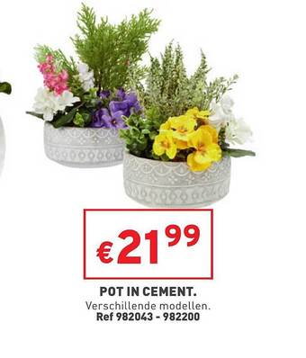 Pot in cement