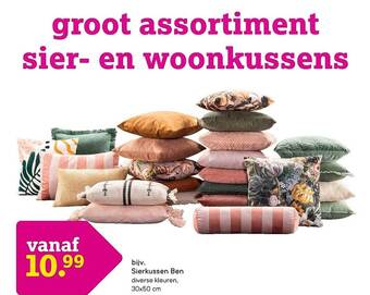 Leen Bakker Sierkussen ben aanbieding