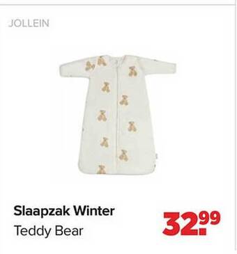 Slaapzak winter