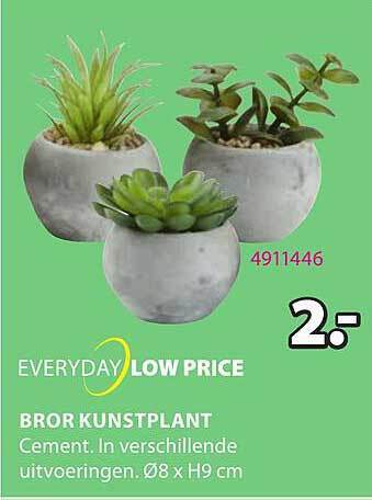 Jysk Bror kunstplant aanbieding