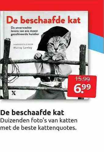 De beschaafde kat