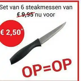 Set Van 6 Steakmessen