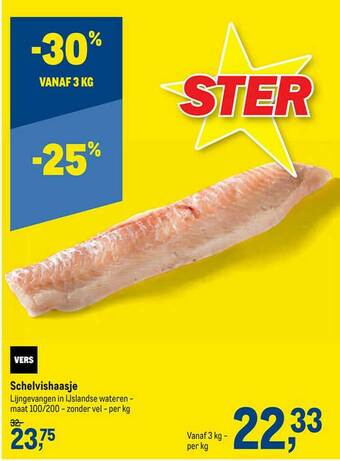 Schelvishaasje
